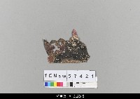 藏品(中國湖北皮影戲盔帽)的圖片